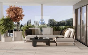 Attique 2.5 pièces - image - 1