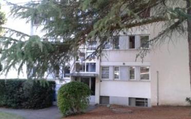 Wohnung 2.5 Zimmer - image - 1