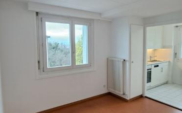 Wohnung 3.5 Zimmer - image - 4