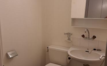 Apartment 2.5 rooms - image - 4