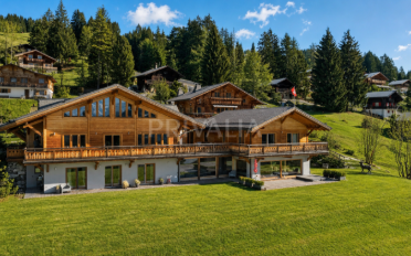 Chalet 9 Zimmer - image - 1