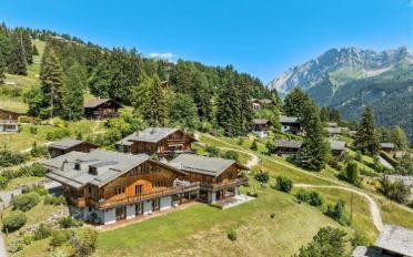 Chalet 9 Zimmer - image - 8