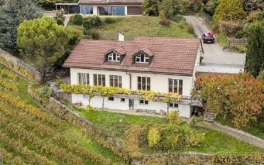 Villa 6.5 Zimmer - image - 1