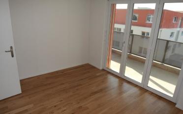 Wohnung 2.5 Zimmer - image - 3