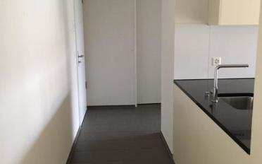 Wohnung 2.5 Zimmer - image - 7