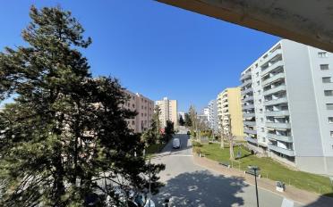 Wohnung 3 Zimmer - image - 1