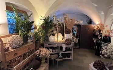 Shop - image - 5