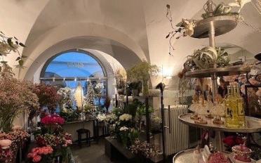 Shop - image - 6