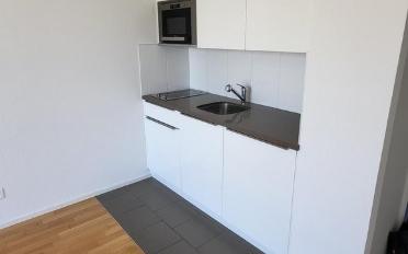 Appartement 1.5 pièces - image - 3