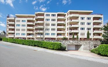 Wohnung 3.5 Zimmer - image - 1