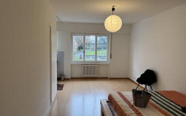 Apartment 1 room - image - 3