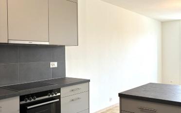 Wohnung 4.5 Zimmer - image - 5