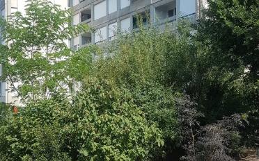 Wohnung 3 Zimmer - image - 1