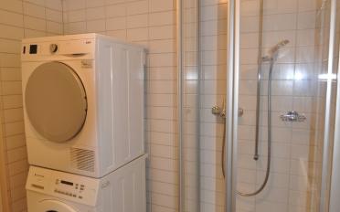 Wohnung 2.5 Zimmer - image - 5