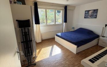 Wohnung 2 Zimmer - image - 5