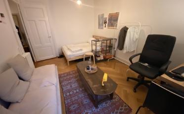 Apartment 1 room - image - 4
