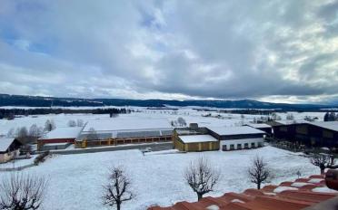 Wohnung 3 Zimmer - image - 8