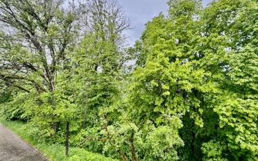 Single house 7 rooms - image - 3