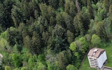 Appartement 4.5 pièces - image - 2