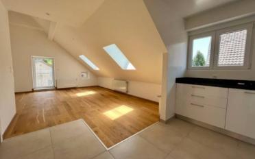 Attic flat 2.5 rooms - image - 1