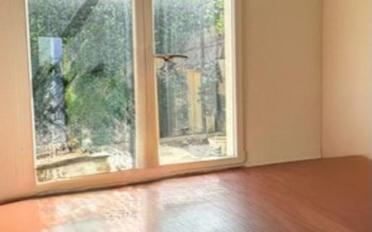 Villa 9 Zimmer - image - 7