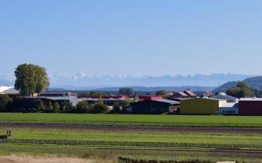 Wohnung 5.5 Zimmer - image - 7