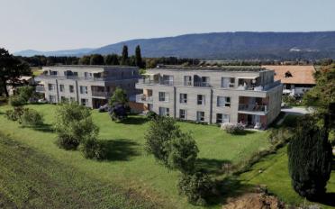 Wohnung 3.5 Zimmer - image - 5