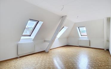 Wohnung 3.5 Zimmer - image - 7