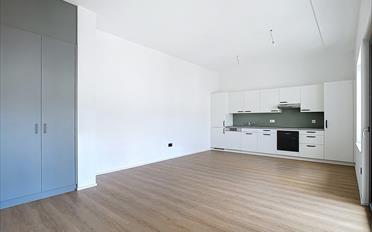Apartment 2.5 rooms - image - 4