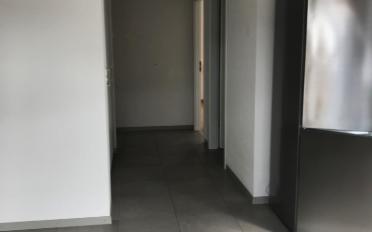 Wohnung 2.5 Zimmer - image - 4