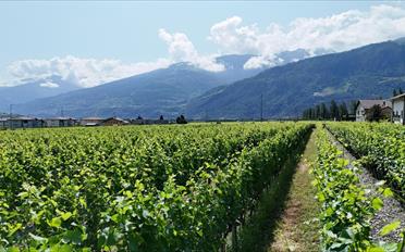 Villa 5.5 rooms - image - 1