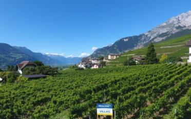 Terrain à bâtir - image - 4