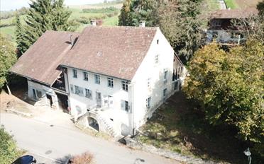 Einfamilienhaus 12.5 Zimmer - image - 1