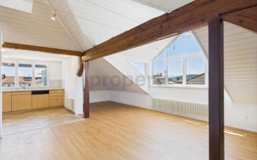 Roof flat 3.5 rooms - image - 4