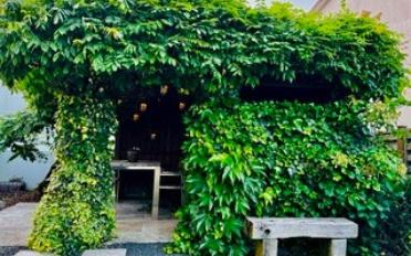 Furnished flat 5.5 rooms - image - 12