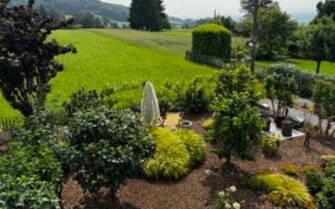 Furnished flat 2.5 rooms - image - 11