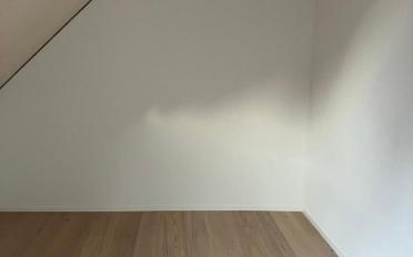 Duplex 5.5 pièces - image - 5