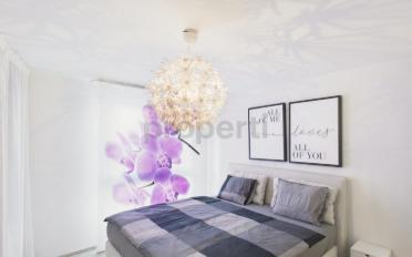 Appartement meublé 4.5 pièces - image - 5