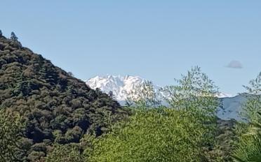 Einfamilienhaus 6.5 Zimmer - image - 12