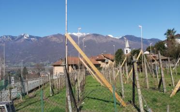 Single house 5 rooms - image - 6