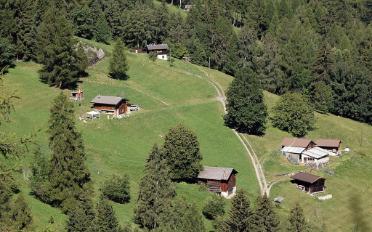 Chalet 3 rooms - image - 7
