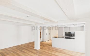 Doppeleinfamilienhaus 4.5 Zimmer - image - 2