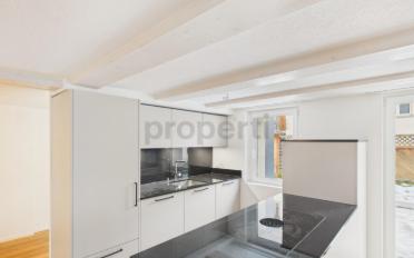 Doppeleinfamilienhaus 4.5 Zimmer - image - 4