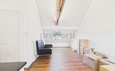Roof flat 2.5 rooms - image - 1