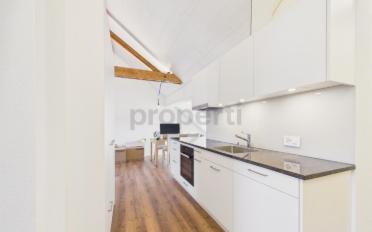 Roof flat 2.5 rooms - image - 2