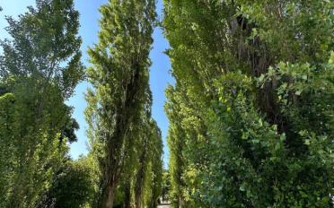 Appartement 4 pièces - image - 9