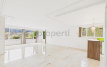 Single house 10.5 rooms - image - 3