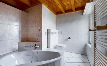 Duplex 5.5 rooms - image - 5