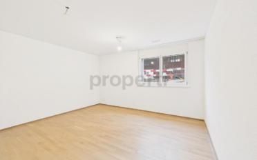 Appartement 4.5 pièces - image - 9