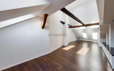 Loft 1 room - image - 6